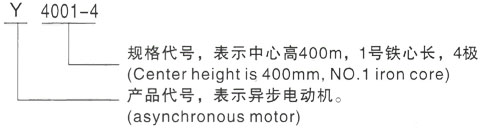 西安泰富西玛Y系列(H355-1000)高压YKS5603-10/900KW三相异步电机型号说明