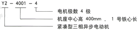 YR系列(H355-1000)高压YKS5603-10/900KW三相异步电机西安西玛电机型号说明